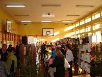 Nowy Targ 11
